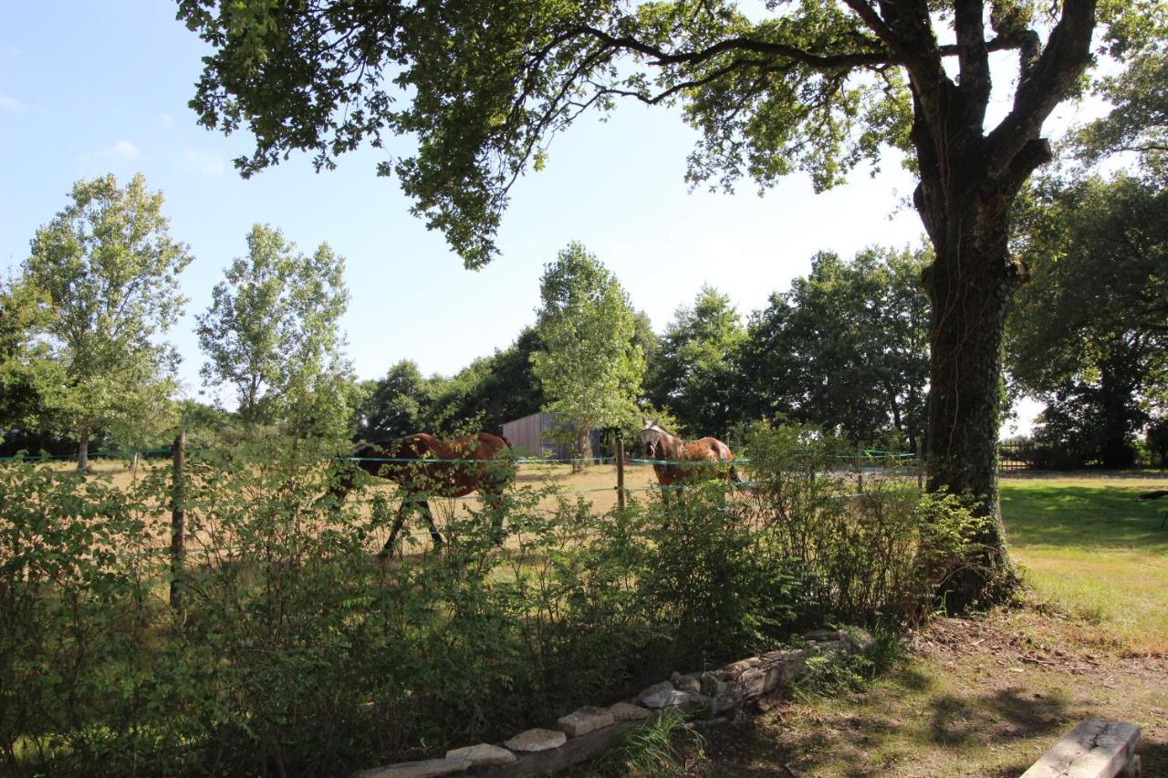 La Longere De La Chevallerais Buitenkant foto